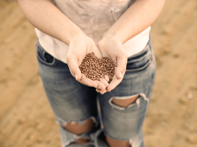 The benefits of buckwheat