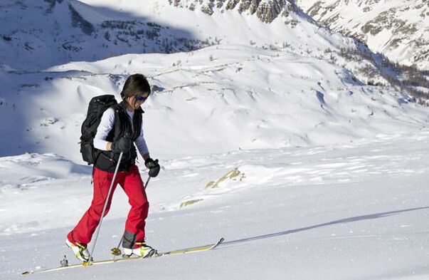 Ski cross